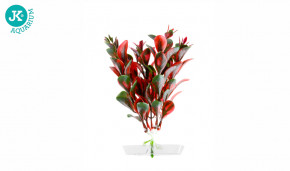 JK ANIMALS Akvarijní rostlinka Red Ludwigia mini 13-16 cm | © copyright jk animals, všechna práva vyhrazena