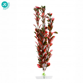 JK ANIMALS Akvarijní rostlinka Red Ludwigia střední 25-28 cm | © copyright jk animals, všechna práva vyhrazena