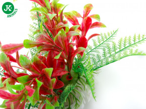 JK ANIMALS Akvarijná rastlinka Ludwigia červenozelená, 14-17 cm | © copyright jk animals, všetky práva vyhradené