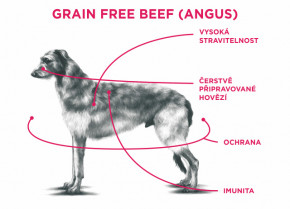Sam 's Field Grain Free Beef (Angus), superprémiové granule pre dospelých psov všetkých veľkostí a plemien, 13 kg (Sams Field bez obilnín) © copyright JK ANIMALS, všetky práva vyhradené