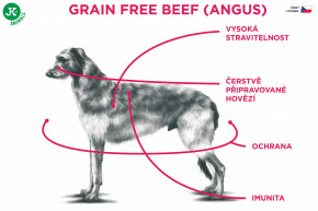 Sam 's Field Grain Free Beef (Angus), superprémiové granule pre dospelých psov všetkých veľkostí a plemien, 2,5 kg (Sams Field bez obilnín) © copyright JK ANIMALS, všetky práva vyhradené