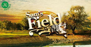 Sam's Field Light & Senior Lamb & Rice | © copyright jk animals, všechna práva vyhrazena