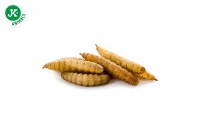 JK ANIMALS, Sušená larva bránenky, 80 g © copyright jk animals, všetky práva vyhradené
