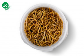 JK ANIMALS, Sušenie múčnej červy JK Dried Mealworms, 80 g, (Tenebrio Molitor) © copyright jk animals, všetky práva vyhradené